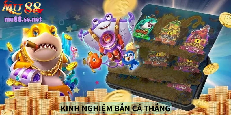 Kinh nghiệm mang về khoản thưởng giá trị từ đại dương