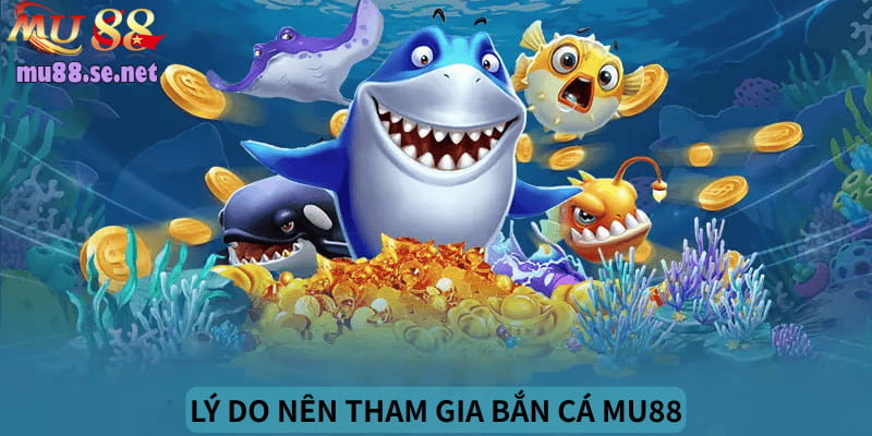 Lý do mọi người nên tham gia chuyên mục bắn cá tại đây