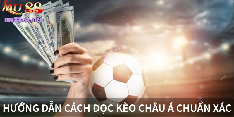 Hướng dẫn chi tiết đọc tỷ lệ hòa chuẩn xác