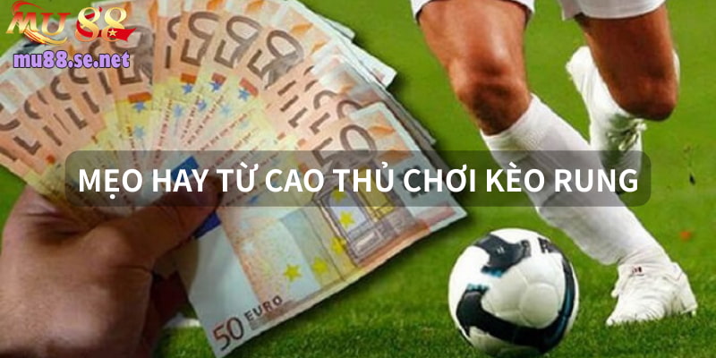 Bỏ túi tips cược running ball hữu ích từ cao thủ