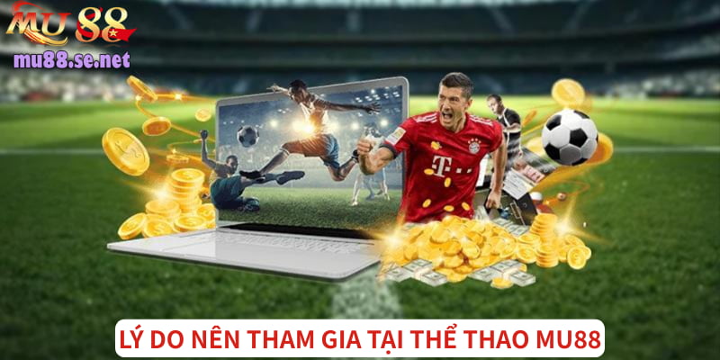 Lý do chuyên mục thu hút lượng lớn hội viên