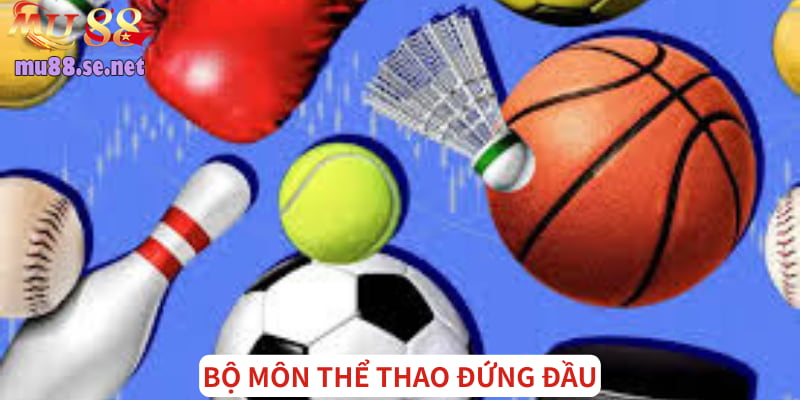 Điểm danh bộ môn đứng đầu lượt truy cập hàng tháng