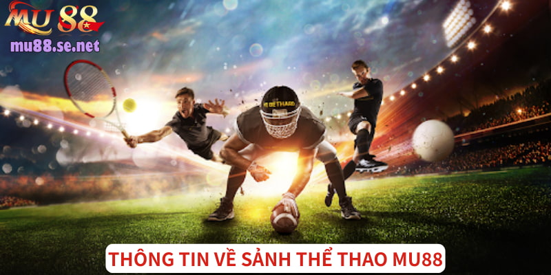Khái quát thông tin về sảnh thể thao ăn khách